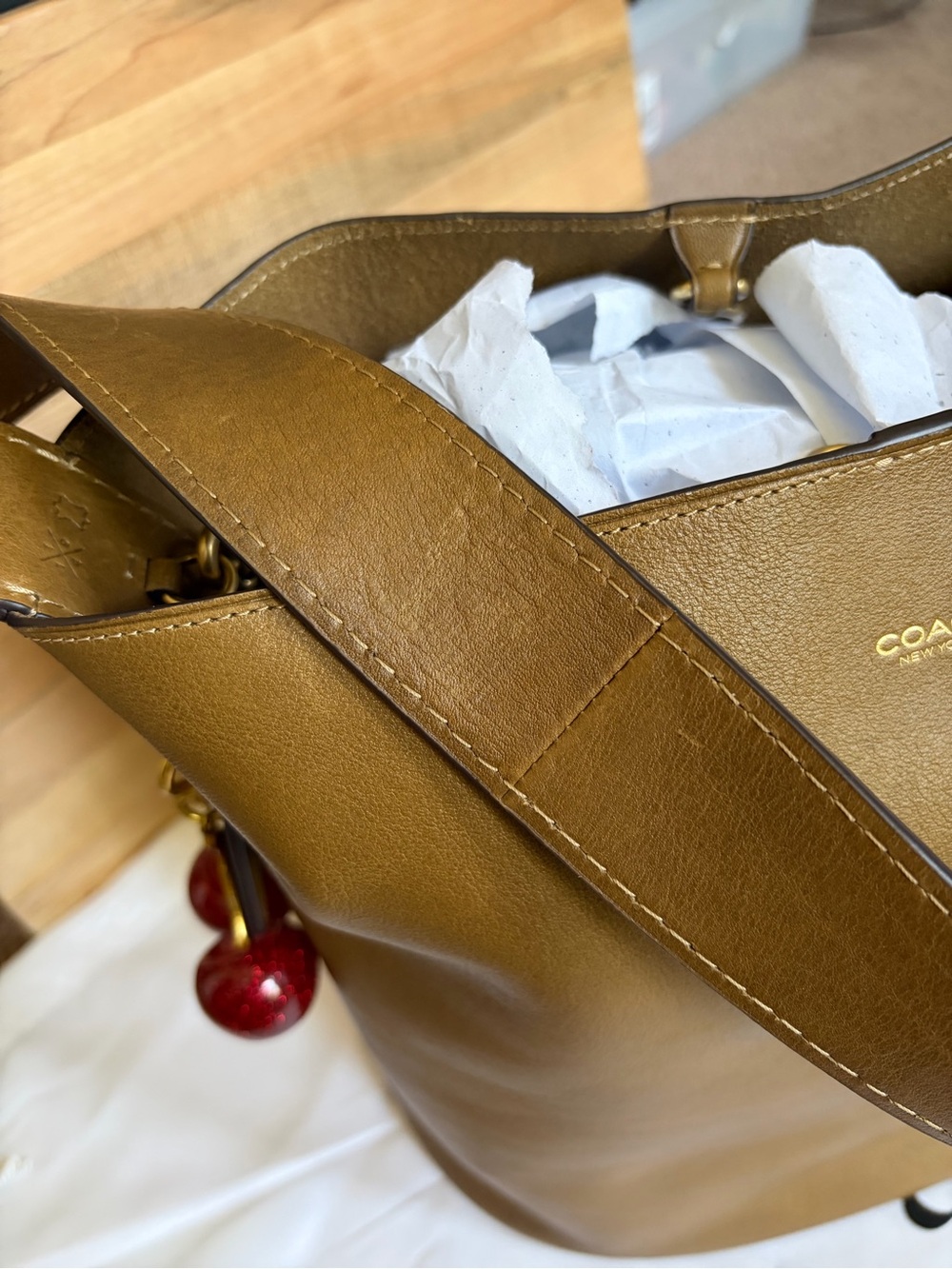 Coach Bleecker Bucket Bag Crossbody Smooth Leather/Brass/Muted Olive-Large Size - Picture 6 of 10